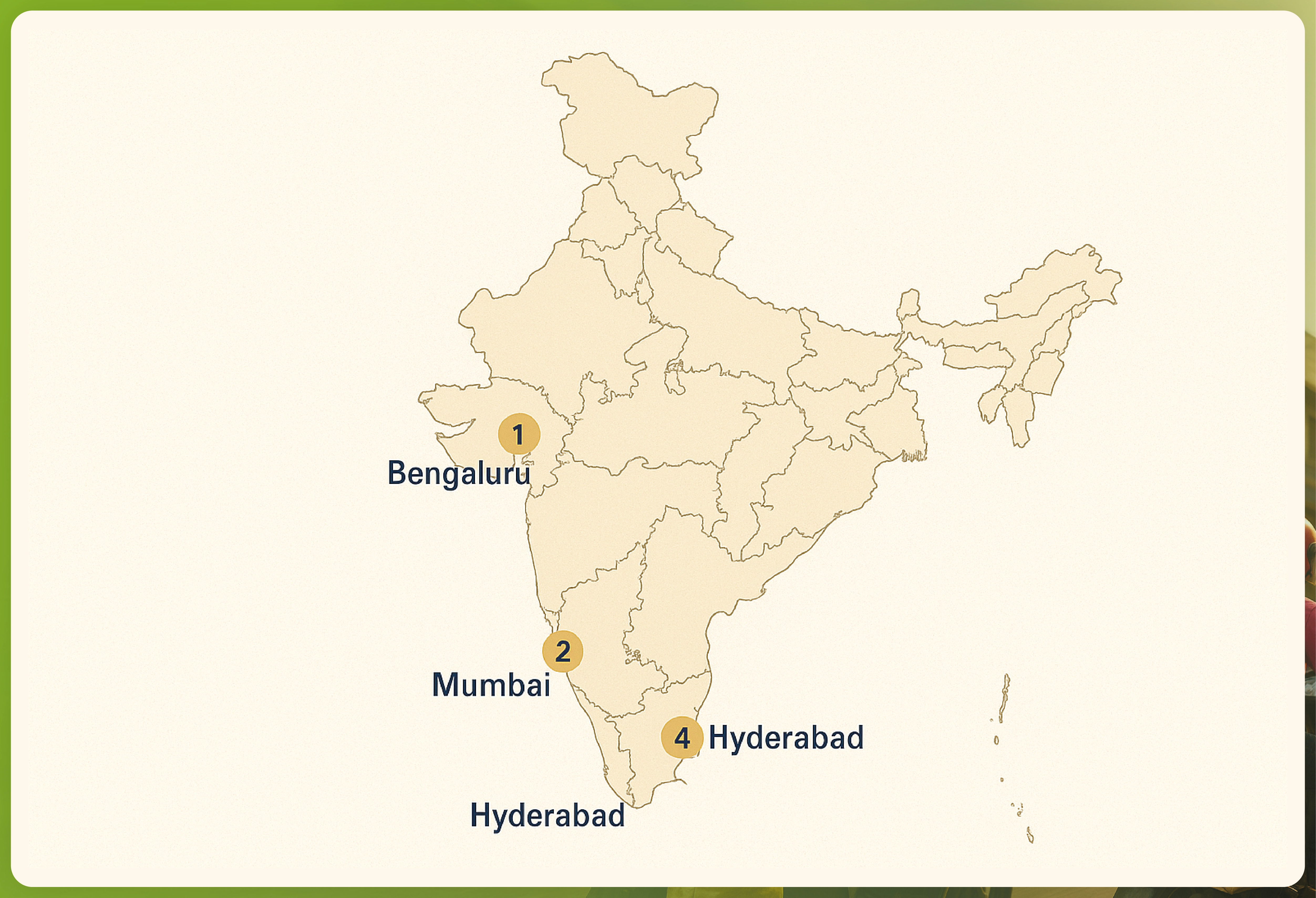 City-Wise-0Price-Tracking-Insights