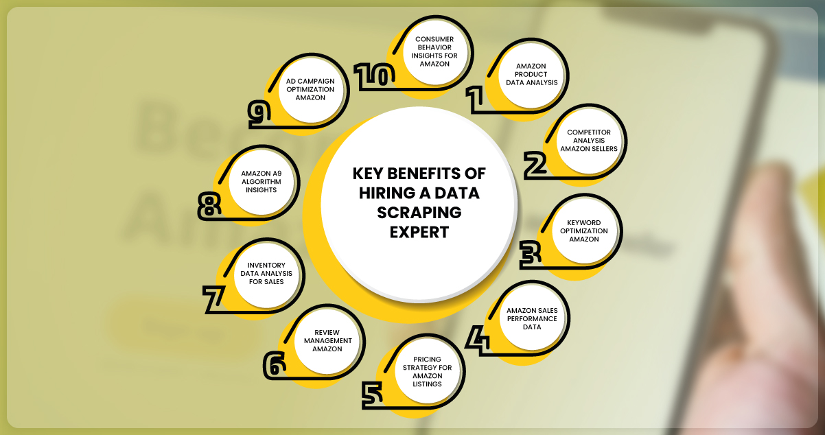 Key-Benefits-of-Hiring-a-Data-Scraping-Expert