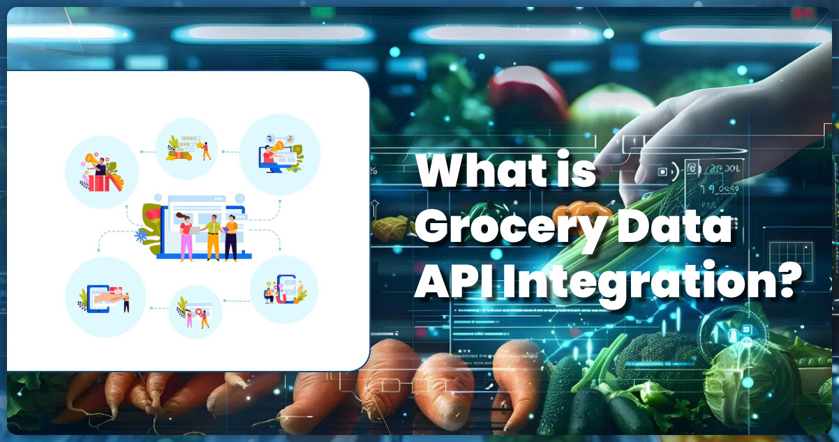 What-is-Grocery-Data-API-Integration